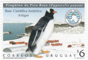 Pingüino de Pico Rojo (Fauna Antártica) - 1997